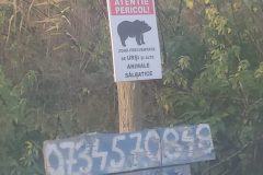 wp-16671230955307540747806986611283-scaled