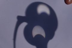 wp-16671231002867496525125081670921-scaled