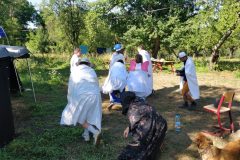 IMG_20220712_095011-scaled